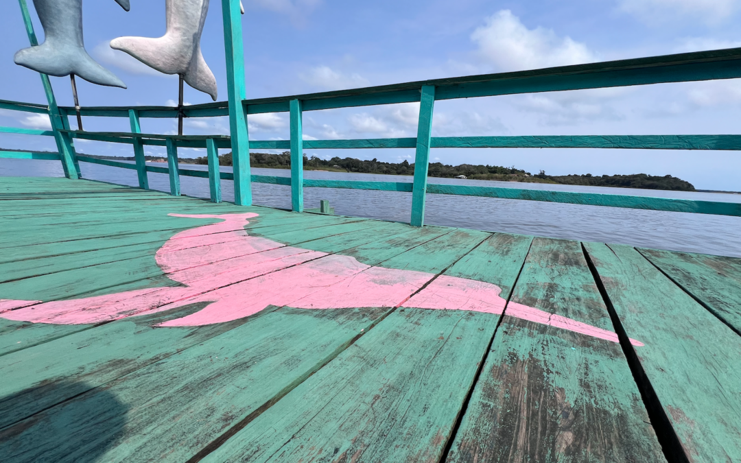 Swimming with the Pink Dolphins of Lago Acajatuba