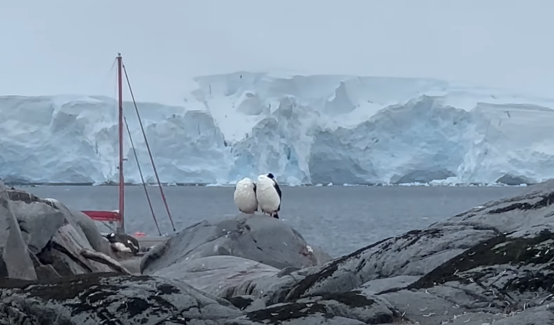Antarctica