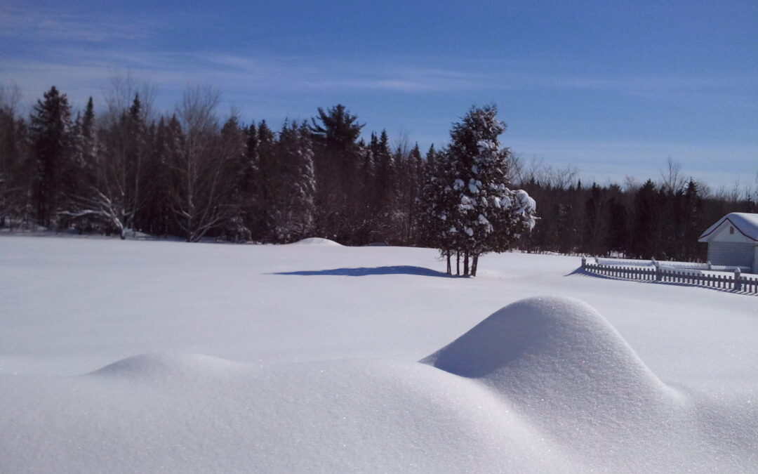 Canadian Skiing & Snowboarding